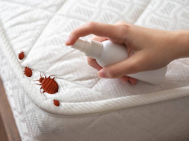 Pest Prevention Services in Bressler, PA