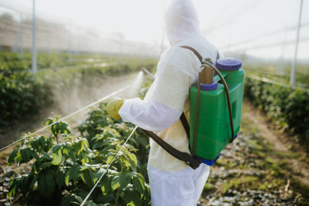 Best Bed Bug Extermination  in Bressler, PA